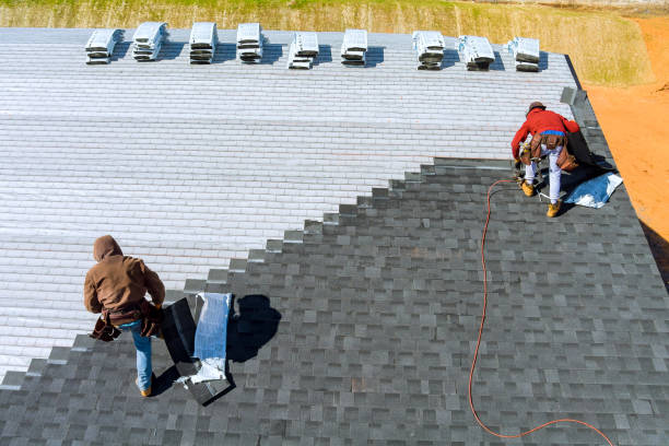 Best Roof Gutter Cleaning  in Chandler, IN